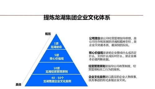 龍湖企業(yè)管理與運營精細(xì)化管理